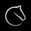 Lichess icon
